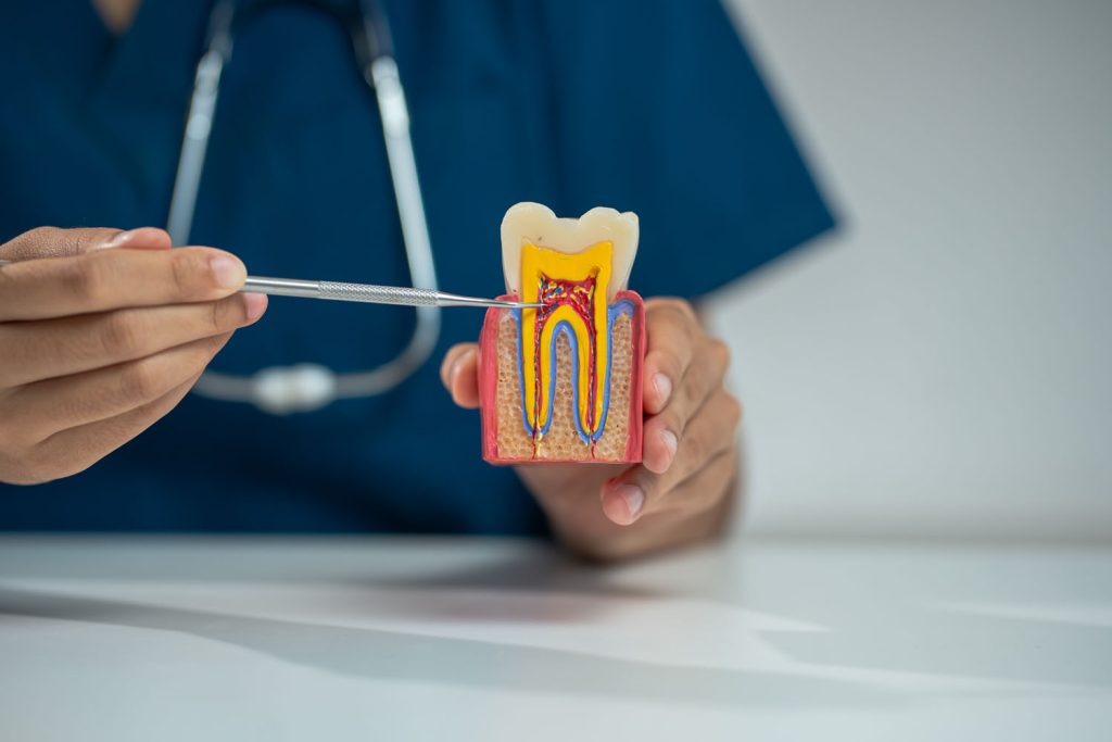 dentists writes reports of working with tooth mode 2026 03 25 07 25 22 utc
