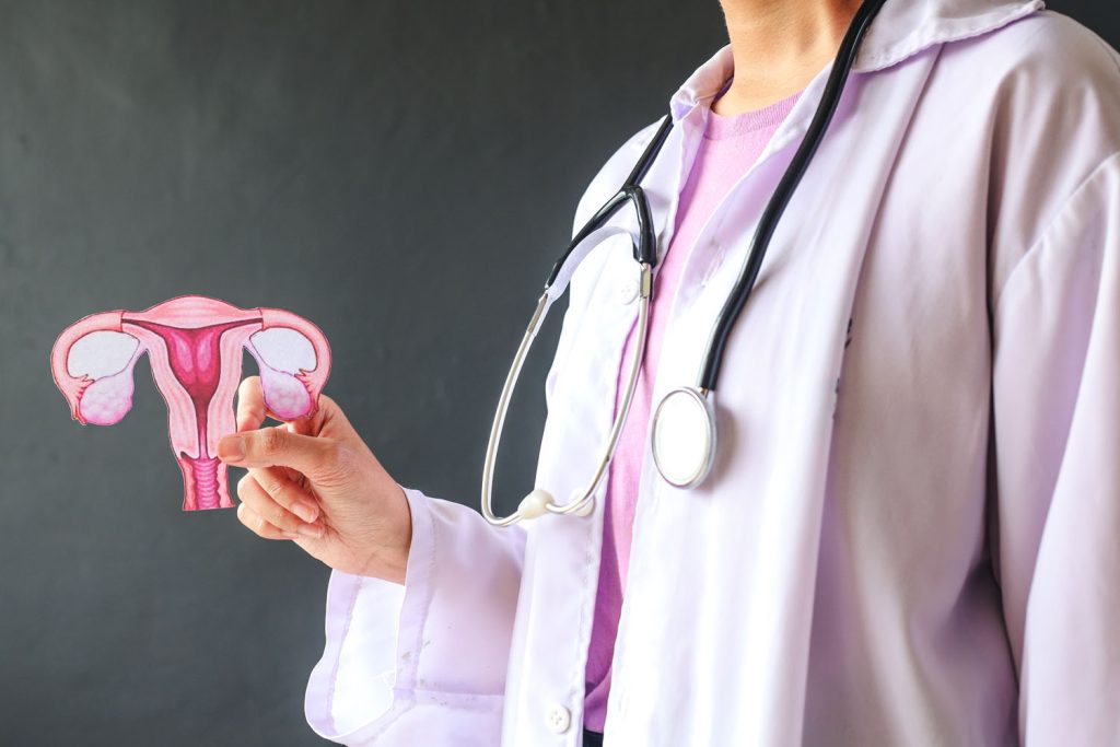 doctor holds uterus shape to support cancer surviv 2026 03 24 04 16 00 utc