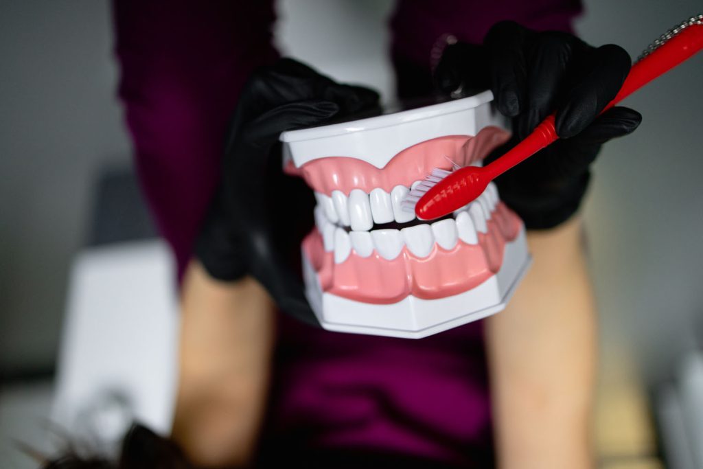 shot of doctors hand holding models of teeth on an 2026 03 20 05 51 24 utc