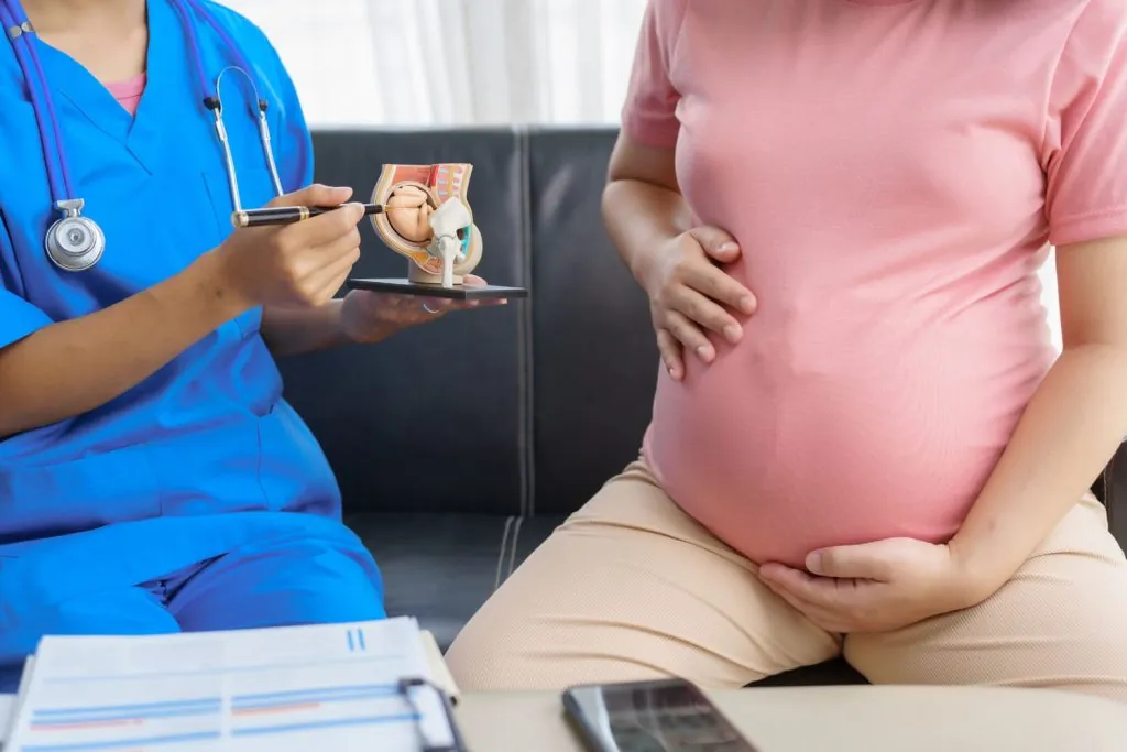 pregnant mothers meet the nurse at the clinic as s 2026 03 20 02 23 37 utc