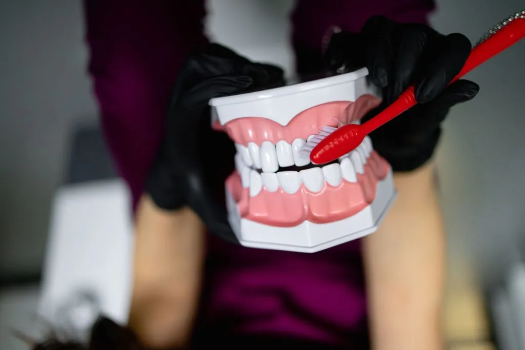 shot of doctors hand holding models of teeth on an 2026 03 20 05 51 24 utc
